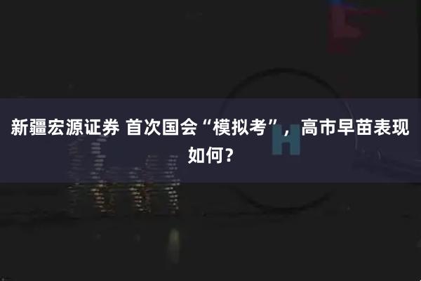 新疆宏源证券 首次国会“模拟考”，高市早苗表现如何？