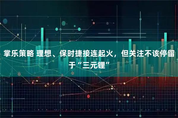 掌乐策略 理想、保时捷接连起火，但关注不该停留于“三元锂”